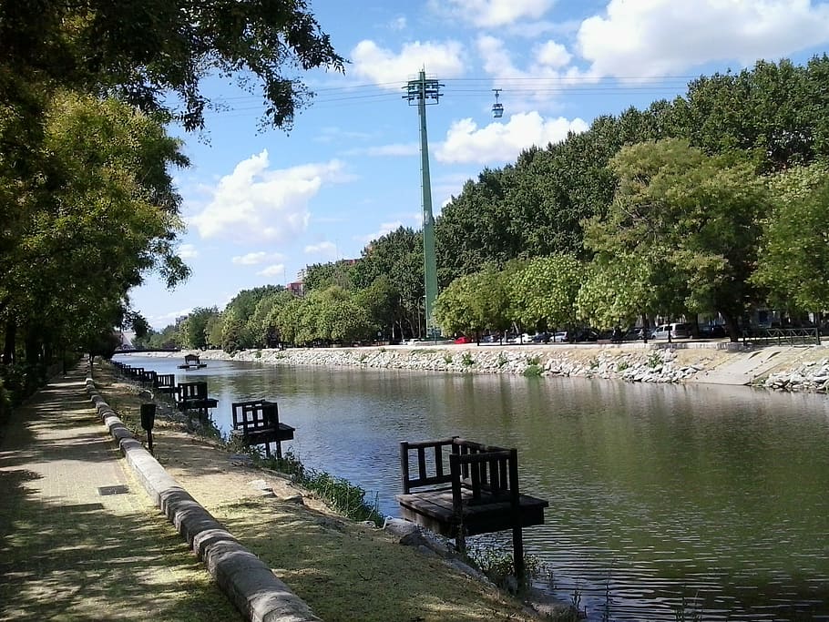 river, shore, park, walk, green, trees, green space, nature HD wallpaper