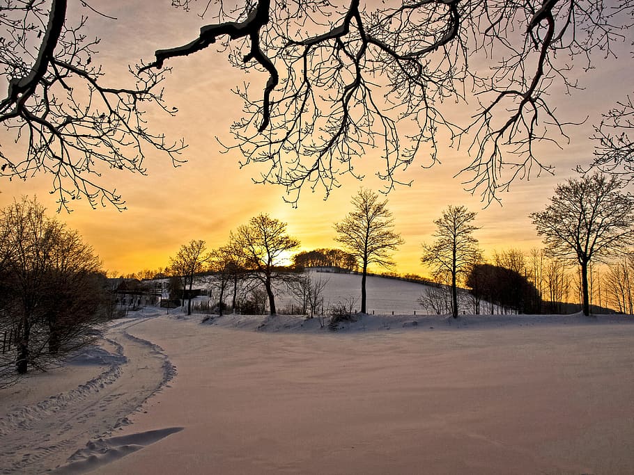 Landscape, Winter, Sunset, Twilight, nature, snow, tree, outdoors HD wallpaper