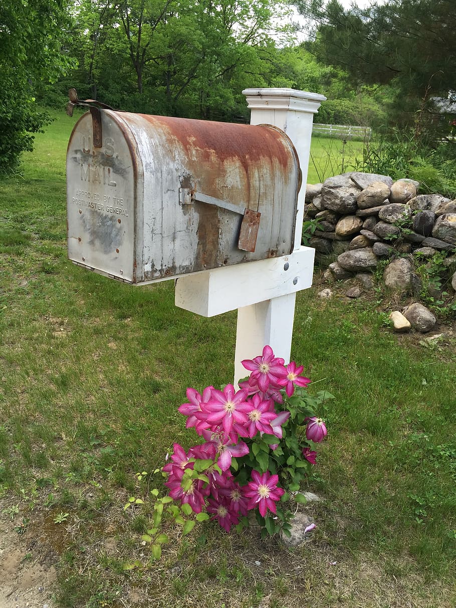 white and gray rusted mailbox near trees, letter, post, vintage