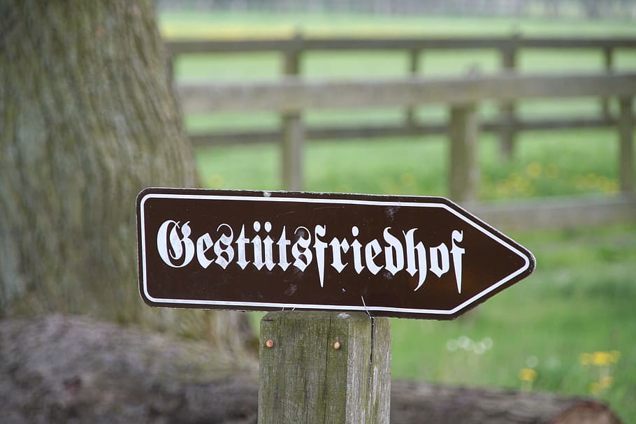 Stud Farm, Cemetery, Shield, Note, stud farm cemetery, stud neustadt dosse HD wallpaper