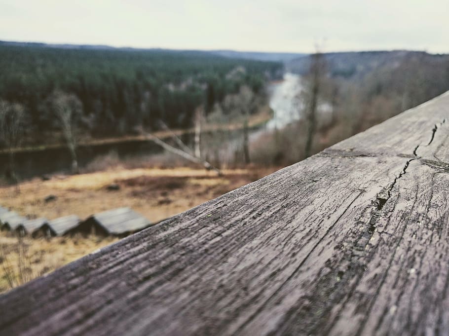bark, blur, close-up, environment, fence, focus, landscape HD wallpaper