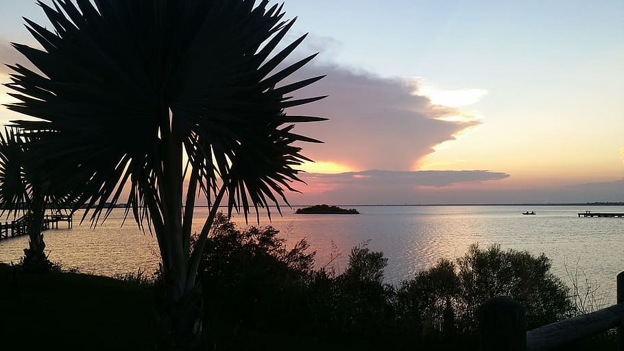 palm, trees, water, sky, sunset, sea, scenics - nature, beauty in nature HD wallpaper