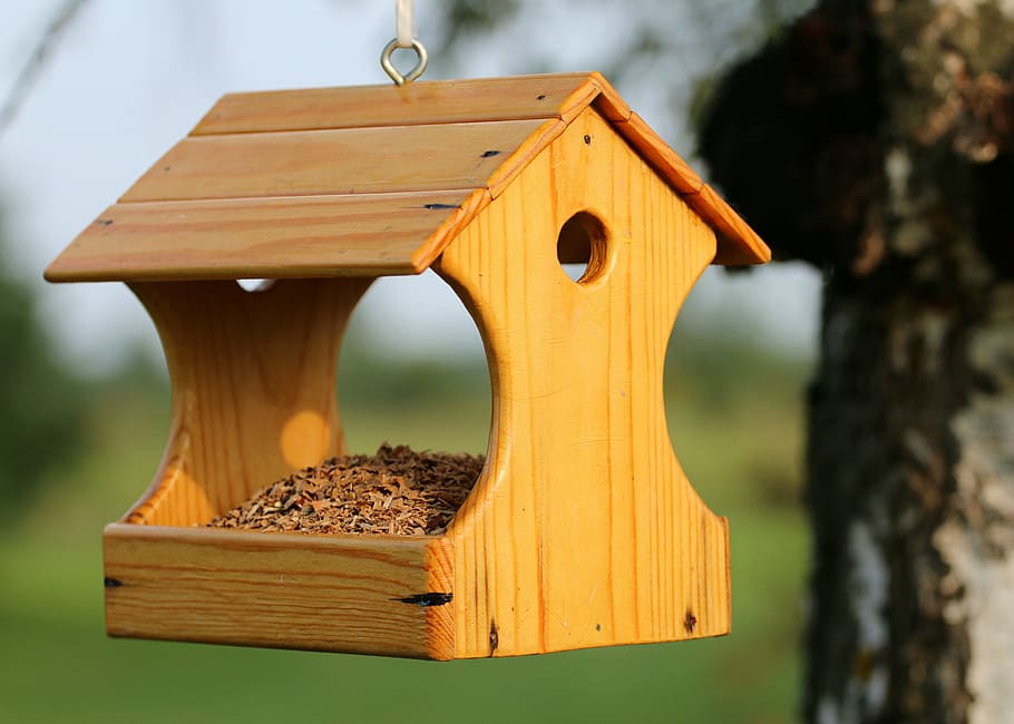 selective focus photo of brown wooden bird feeder, birds, help HD wallpaper
