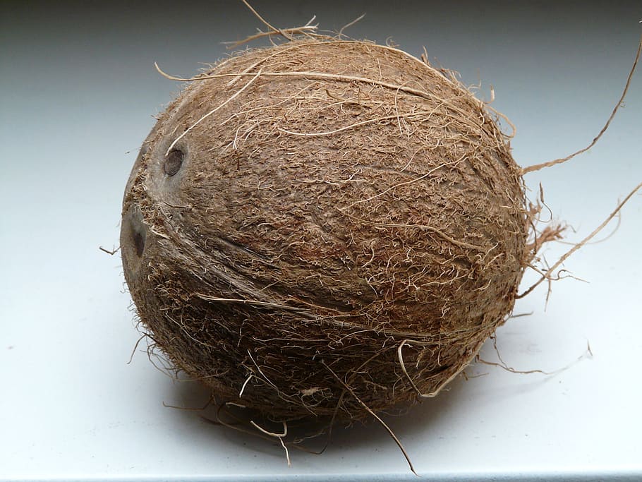 peeled coconut fruit, coconuts, exotic, sweet, palm, mediterranean HD wallpaper