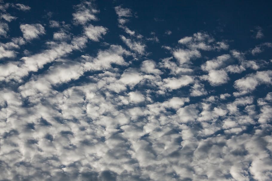 fleecy clouds, blue, sky, clear, sunny, beautiful, morning HD wallpaper
