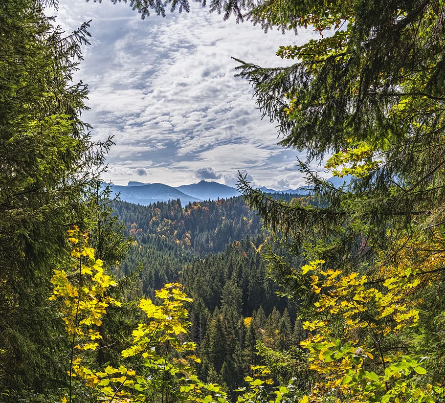 view, mountains, alpine, bavaria, bavarian, trees, forest, autumn HD wallpaper