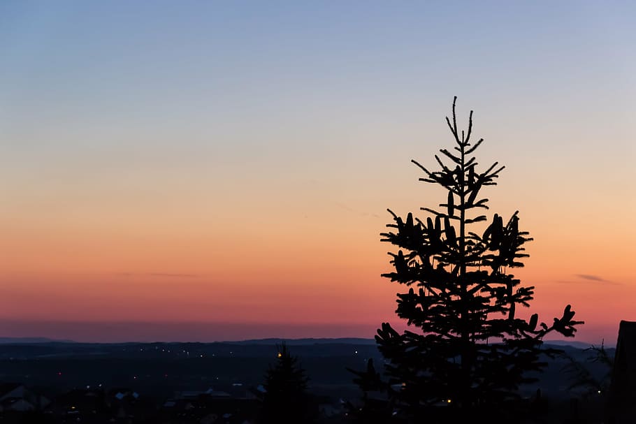 horizon, evening, twilight, mood, evening sky, red, sunlight HD wallpaper