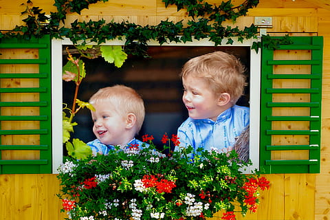 two boys looking outside window, image, children, laugh, flower bed HD wallpaper