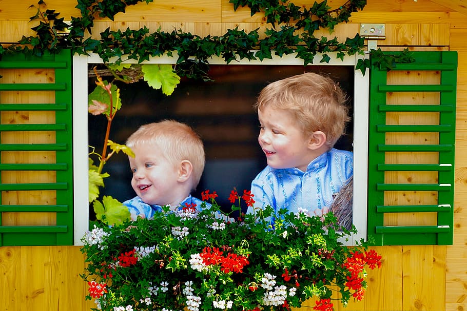 two boys looking outside window, image, children, laugh, flower bed HD wallpaper
