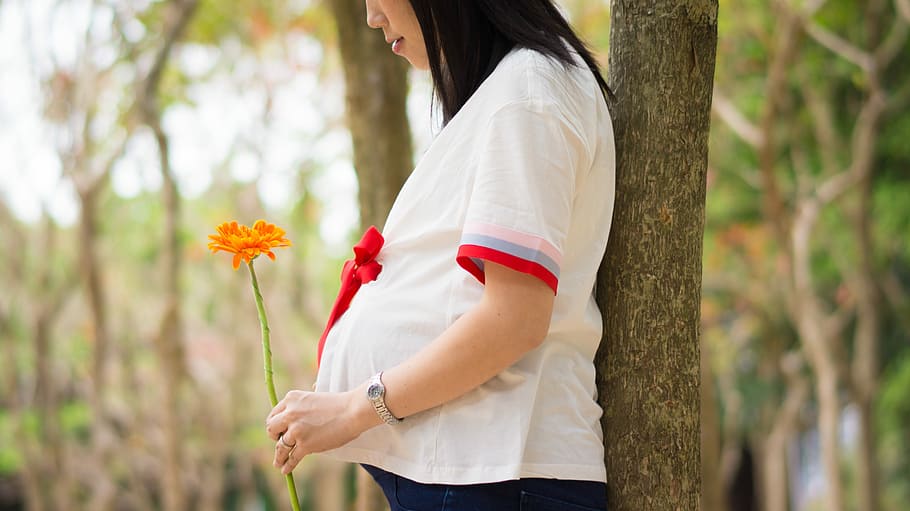 woman holding orange flower leaning on tree, pregnant woman wearing white and red cap-sleeved blouse