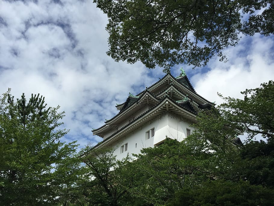 Wakayama Castle, History, Era, architecture, asia, japan, japanese Culture, HD wallpaper