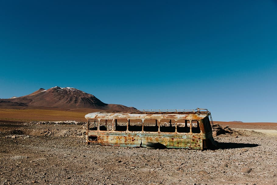 brown and green bus, old, in to the wild, abandoned, outdoors, HD wallpaper