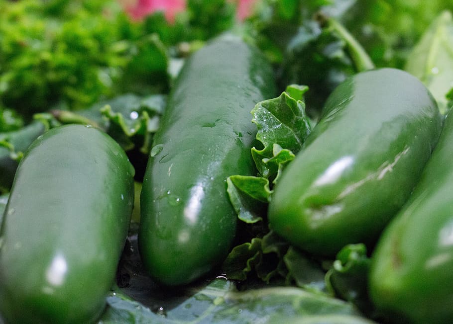 vegetable, food, grow, fruit, flora, food and drink, green color HD wallpaper