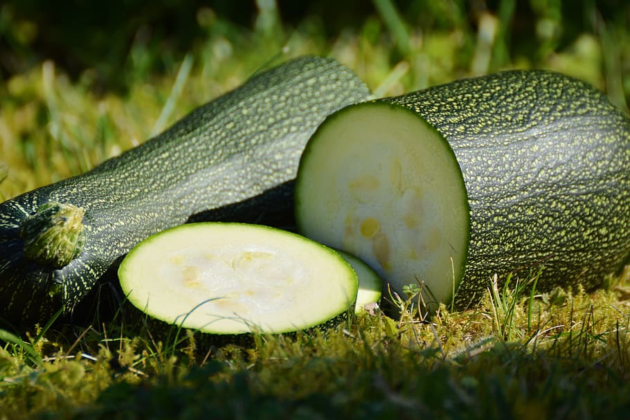 sliced vegetable on green grass, zucchini, vegetables, harvest