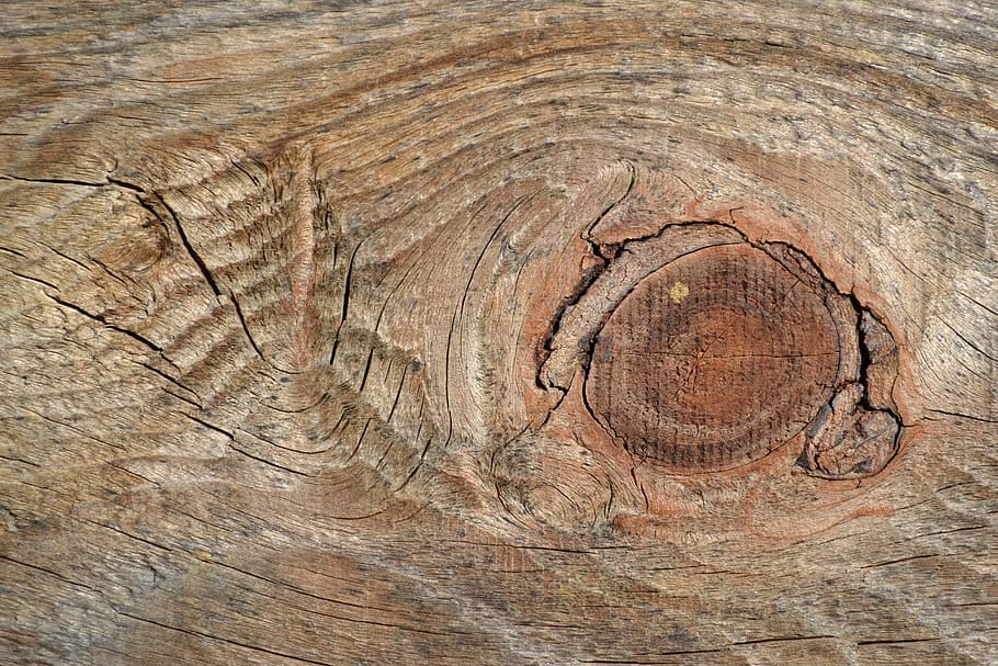 brown wooden slab photography, cracks, node, texture, wood - material