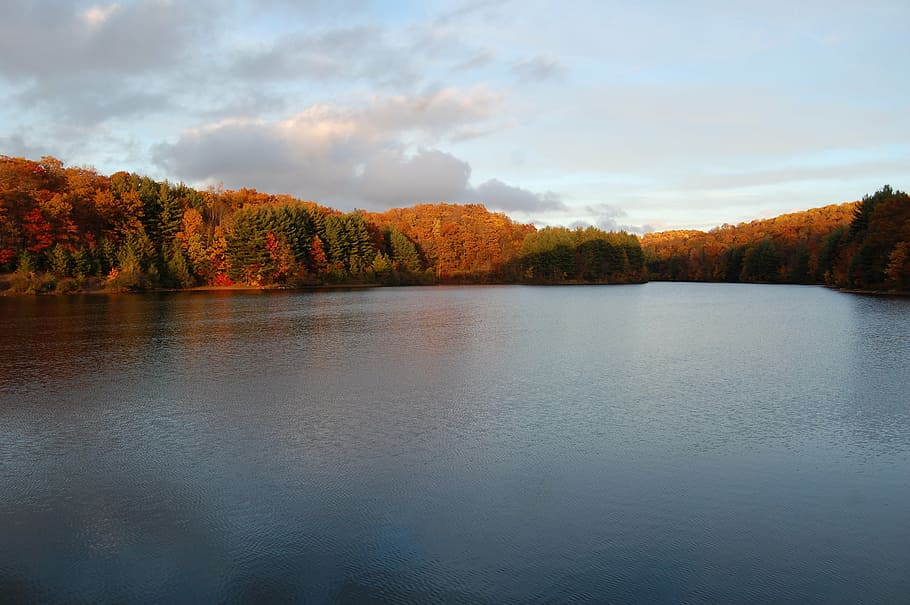 fall, lake, view, nature, autumn, forest, tree, landscape, outdoors HD wallpaper