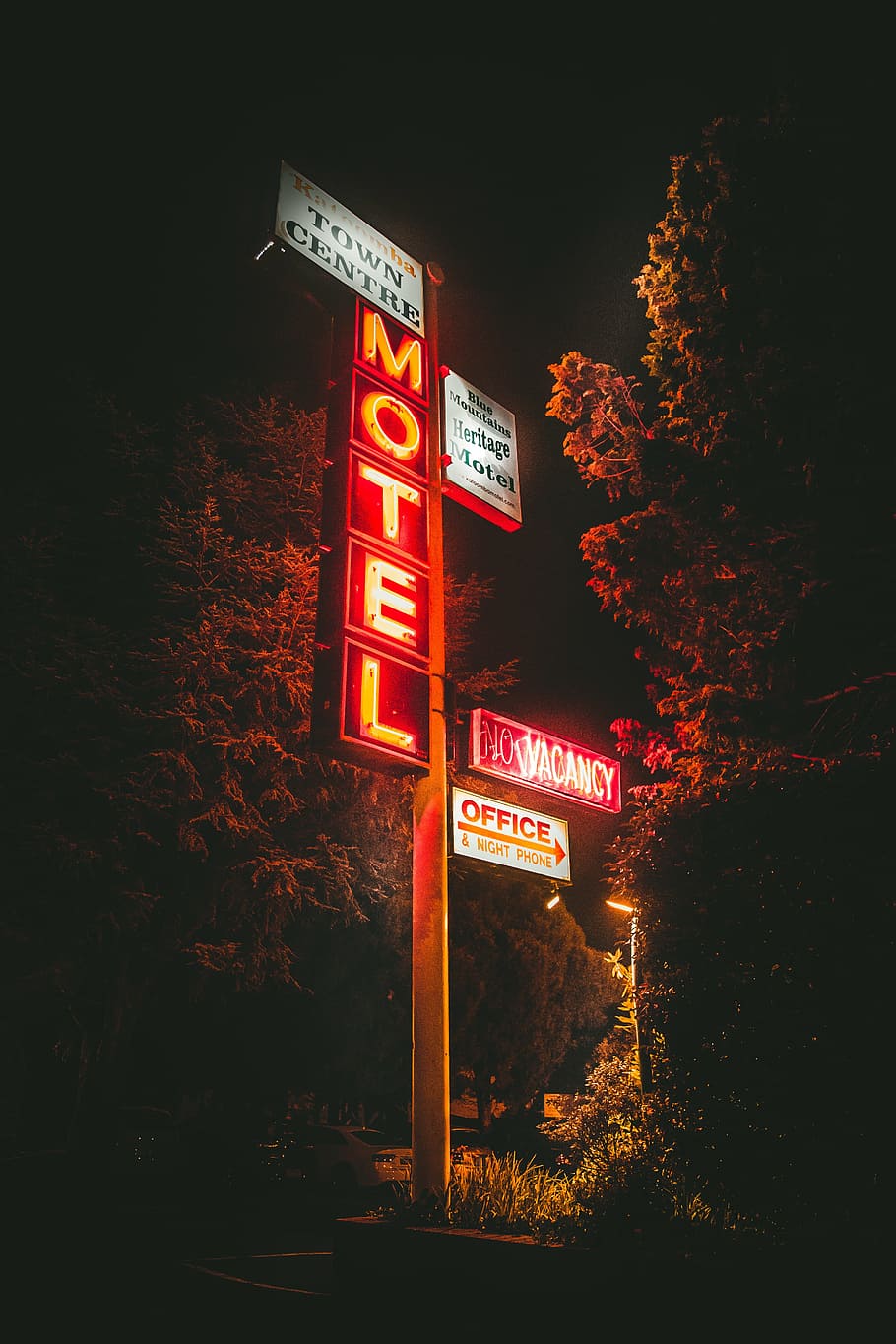 lighted Motel signage during nighttime, trees, post, lights, dark, HD wallpaper