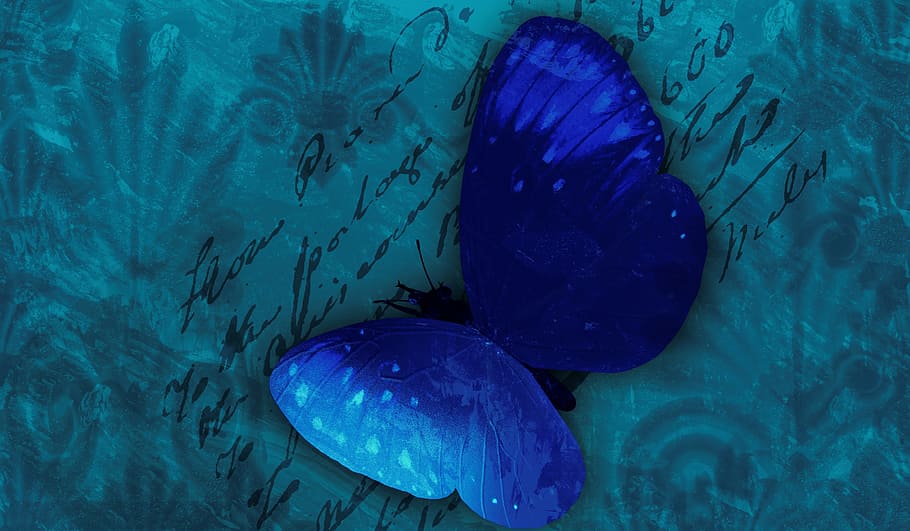butterfly, background, blue, romantic, postkartenmotiv, retro, HD wallpaper