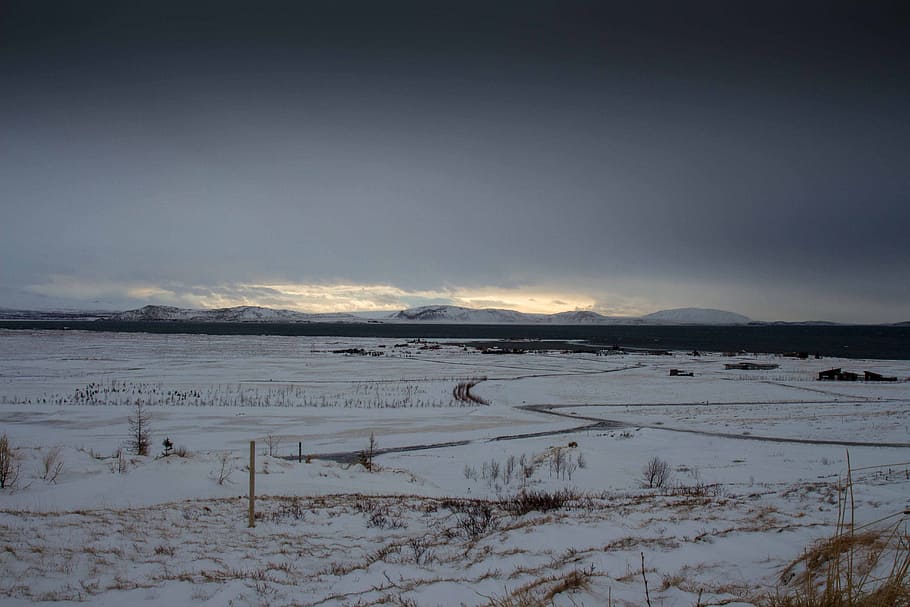 snow, winter, cold, field, rural, countryside, landscape, nature HD wallpaper