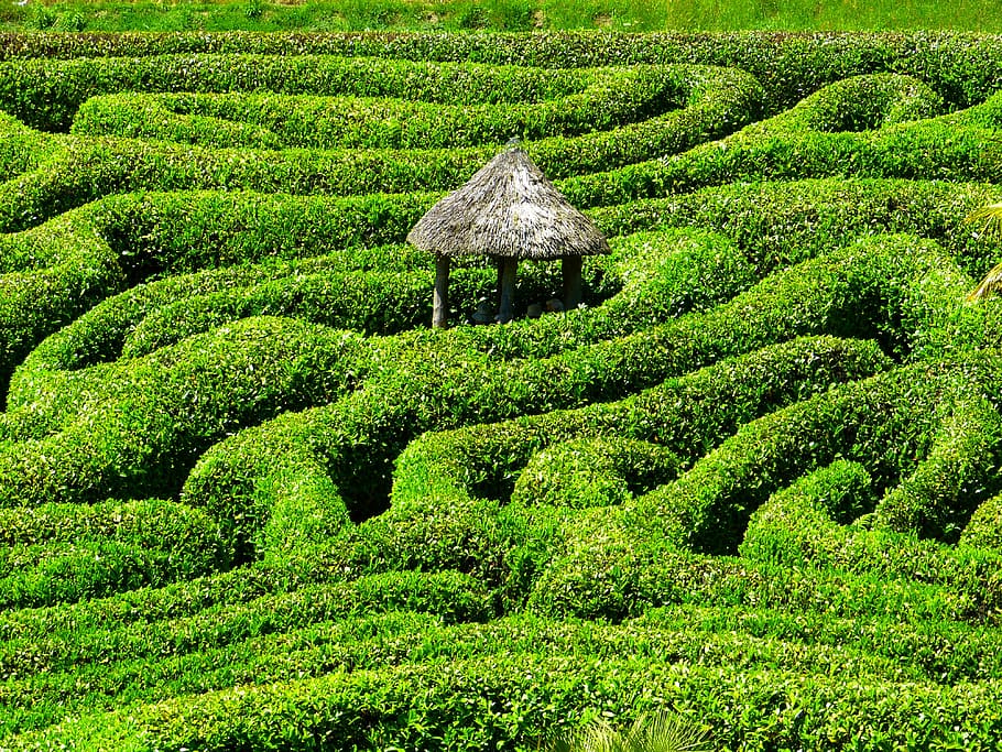brown tiki hut in the middle of maze bush during day, labyrinth, HD wallpaper