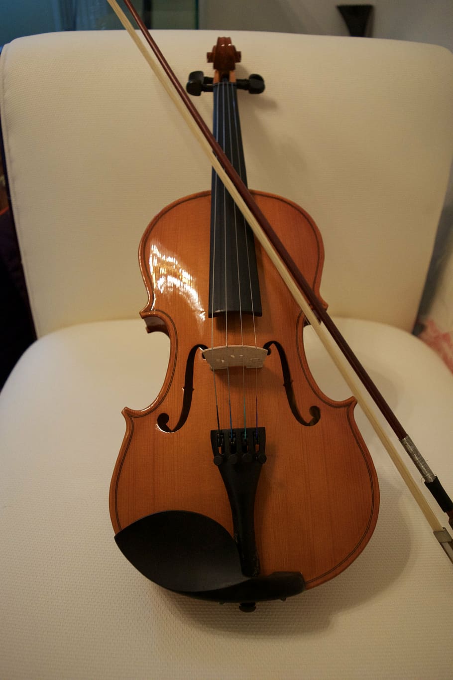 violin, bow, string, music, instrument, stringed, musician HD wallpaper