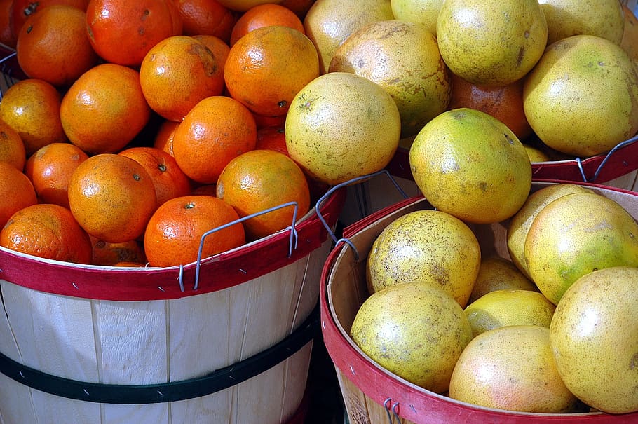 fruit, oranges, grapefruit, citrus, food, orange fruit, ripe HD wallpaper