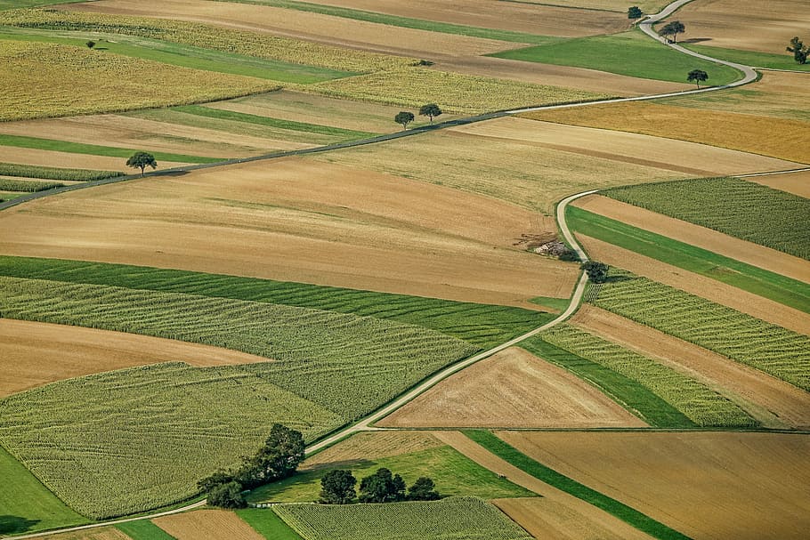 aerial photograph of brown and green field, agriculture, arable land, HD wallpaper