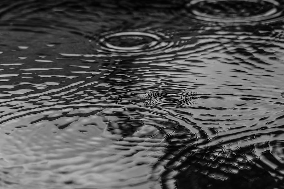 puddle, water, rain, nature, rippled, full frame, backgrounds HD wallpaper