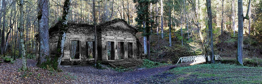 abandoned concrete house in forest at daytime, panorama, landscape HD wallpaper