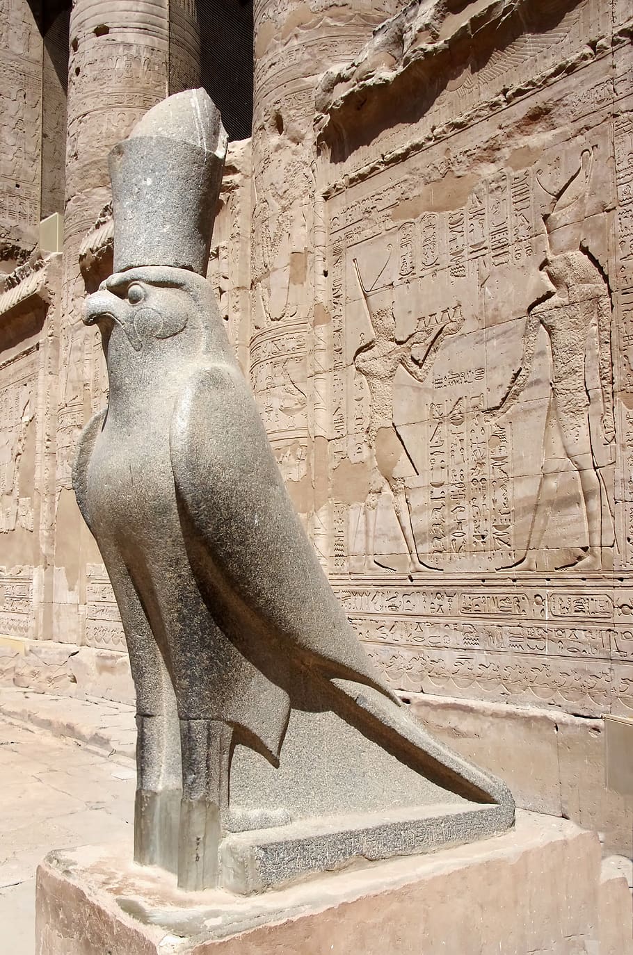 egypt, edfu, temple, statue, horus, divinity, falcon, hieroglyphs, HD wallpaper