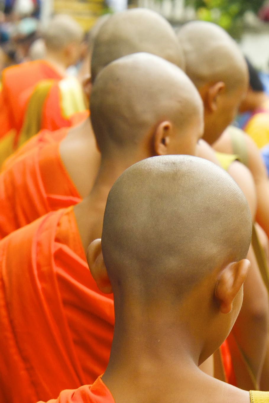 group of monks lining up, group of monks, man, male, bald, head