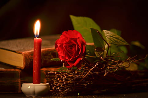 red rose beside taper candle, magic, rosa, book, heat, light HD wallpaper
