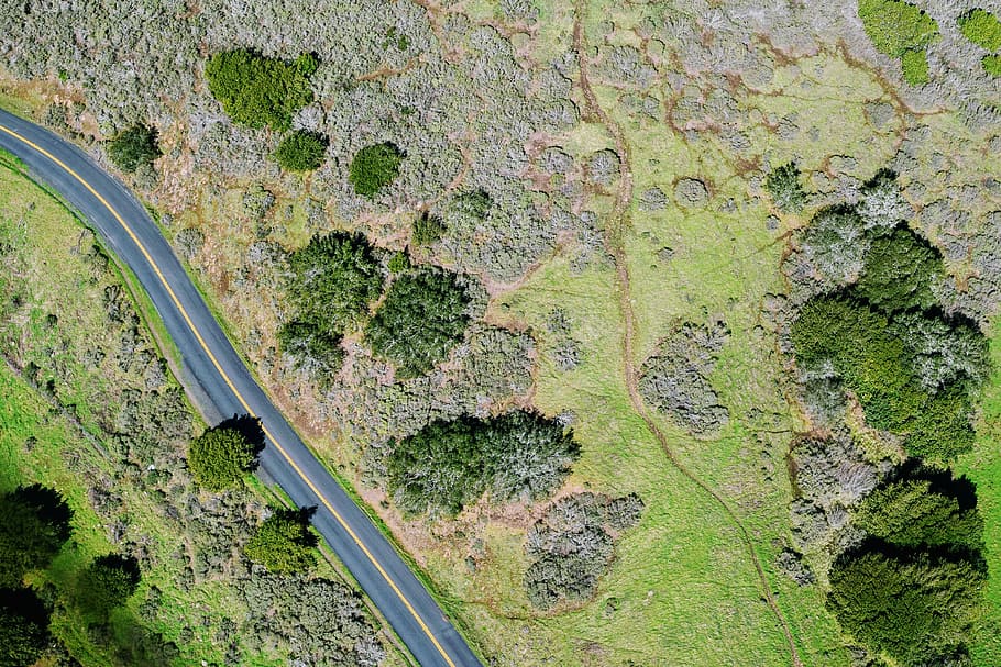 aerial view of grass field, bird's-eye view of rode between grass field, HD wallpaper