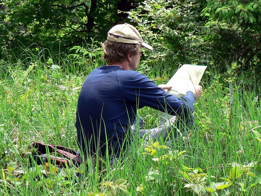 grass, forest, nature, a map, orientation, green, man, reading HD wallpaper
