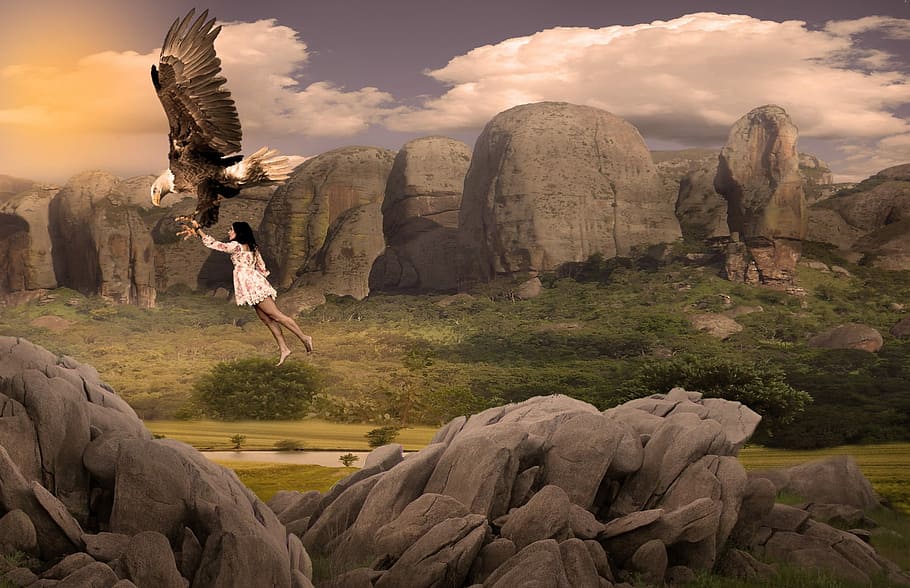 panoramic, outdoors, nature, mountain, fantasy, eagle, rock HD wallpaper