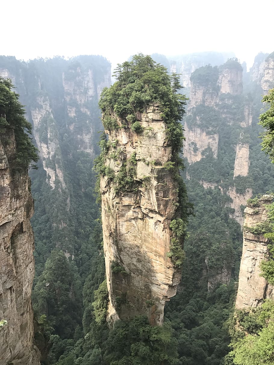 zhangjiajie, mountain, tall, high, rock, stone, tree, plant, HD wallpaper