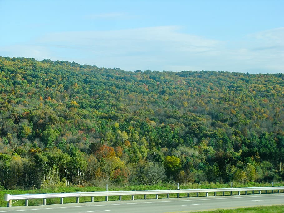 road, guard rail, mountains, trees, plant, beauty in nature HD wallpaper