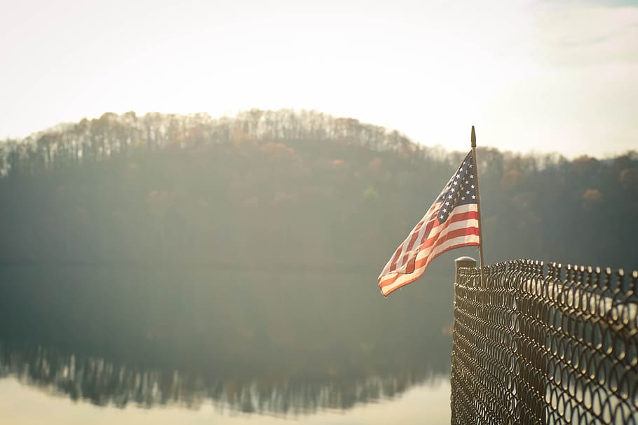 nature, trees, water, reflection, chicken, wire, fence, american HD wallpaper