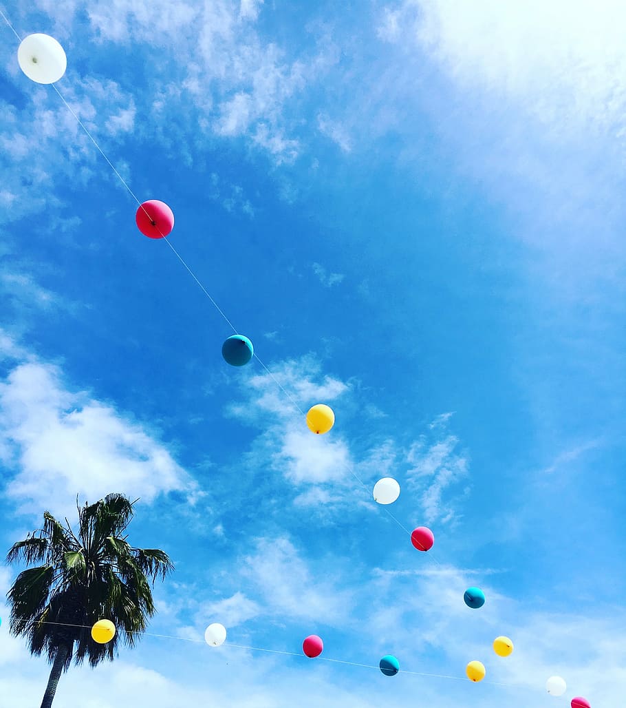 multicolored balloon string hanged near tree, low-angle photo of assorted-color inflatable balloons hanged on white rope HD wallpaper