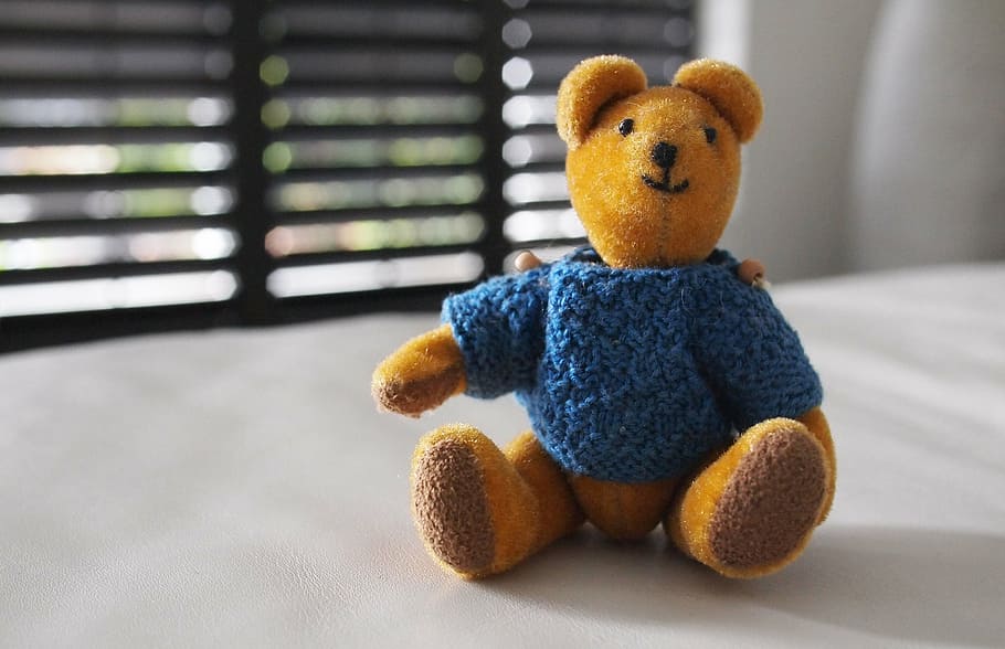 selective focus photo of blue and brown teddy bear on table HD wallpaper