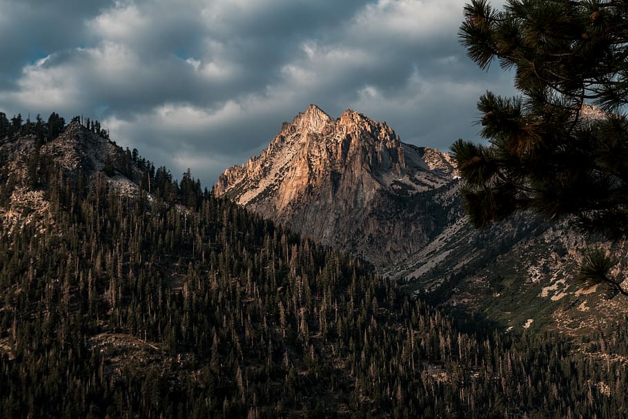 brown mountain under cloudy sky, mountain covered with trees under cloudy sky HD wallpaper