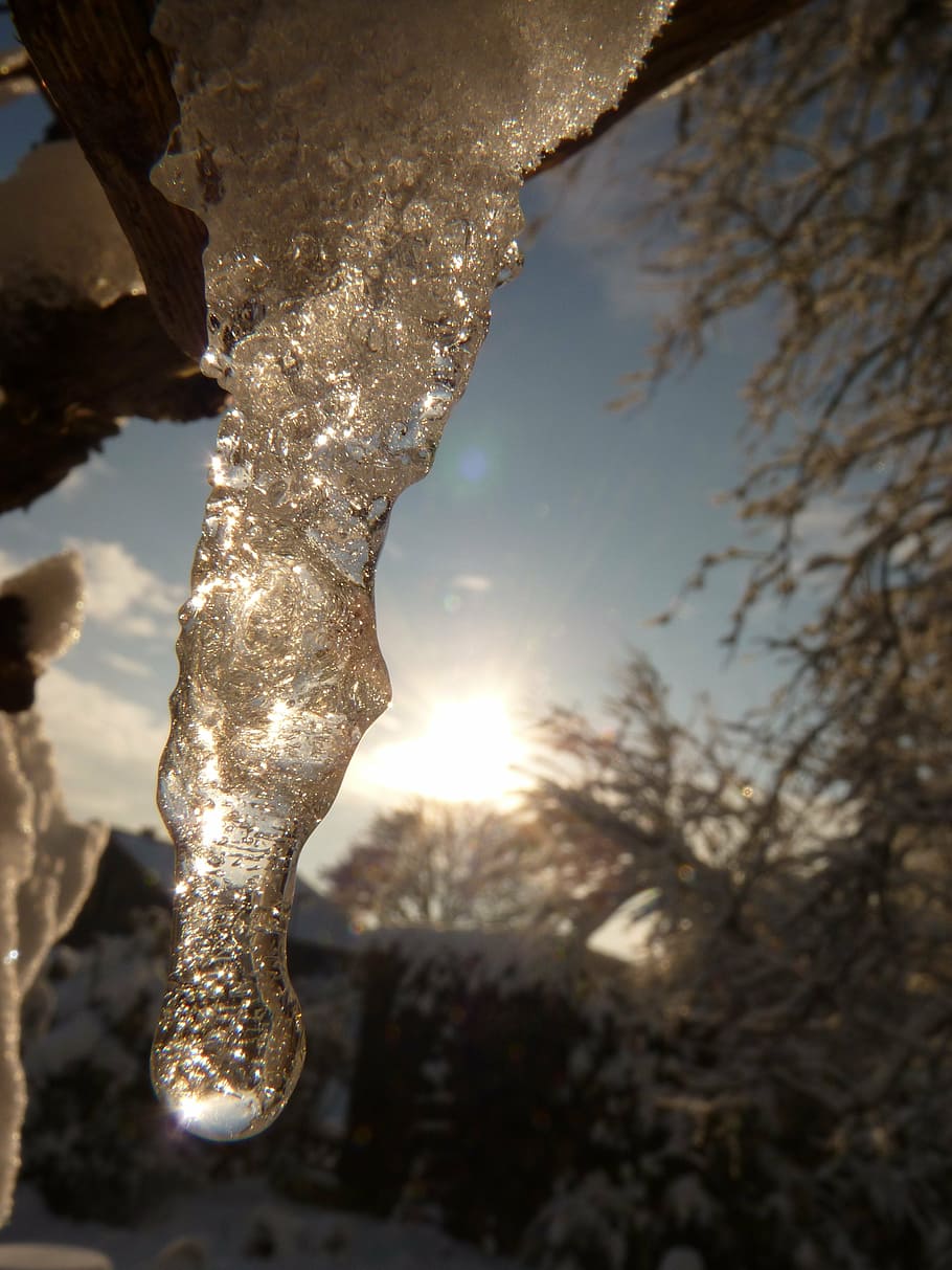 icicle, ice, cold, winter, tree, cold temperature, sun, sunlight HD wallpaper