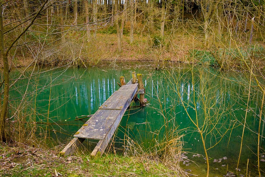 web, lake, pond, waters, rest, lonely, forest, nautical vessel HD wallpaper