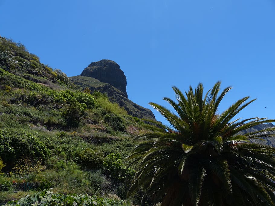 Teno, Mountain, Palma, teno mountains, masca ravine, tenerife, HD wallpaper