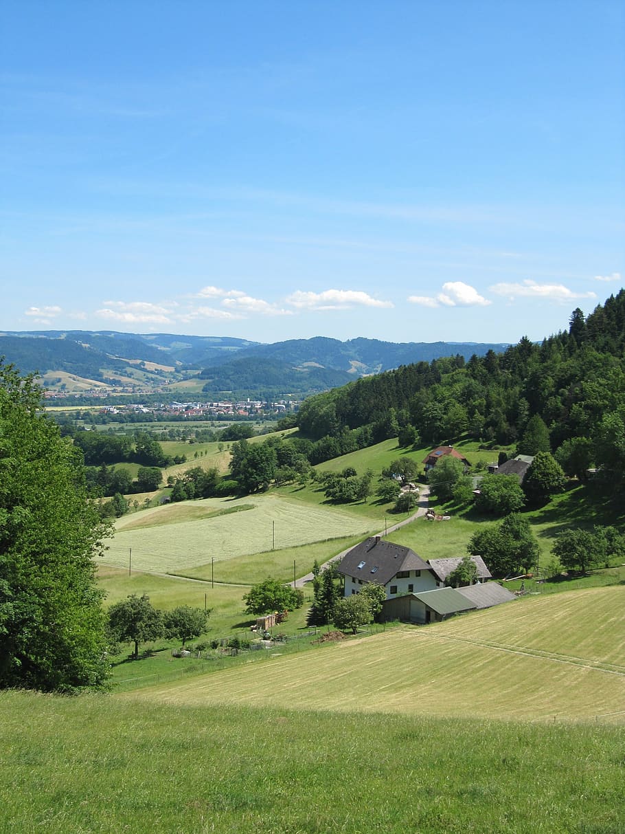 black forest, view, landscape, distant view, kirchzarten, plant HD wallpaper