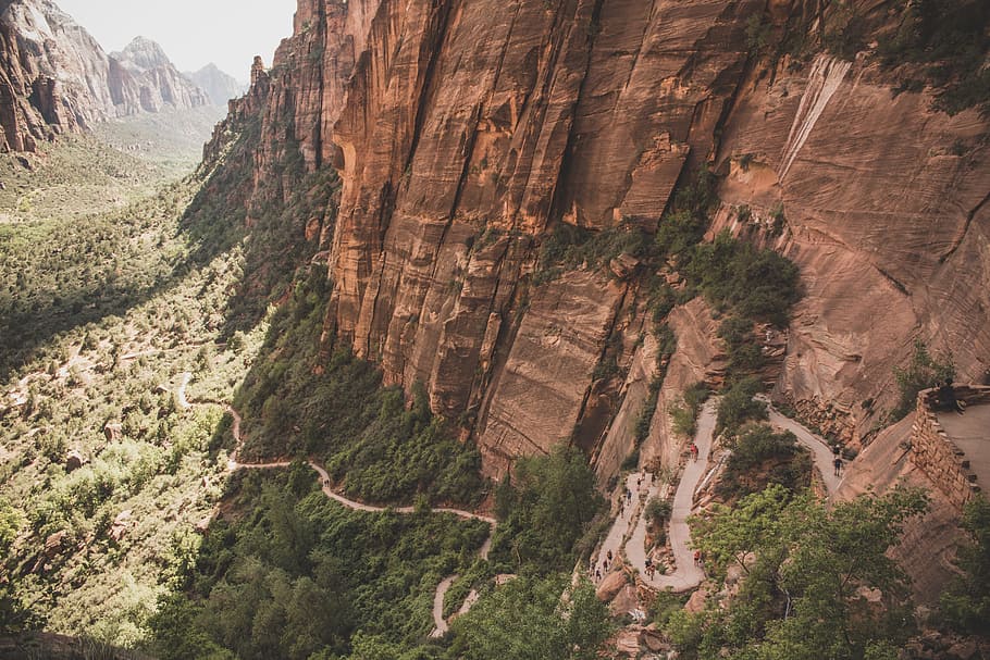 top view of trees surrounding rock cliff, aerial photography of brown mountains HD wallpaper