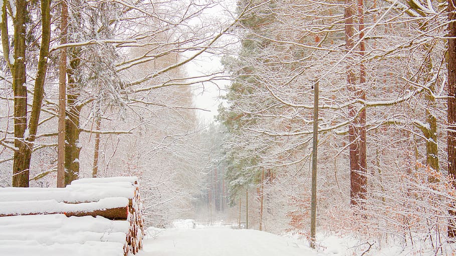 Snow, Landscape, Away, Winter, Rest, wintry, nature, snowy HD wallpaper