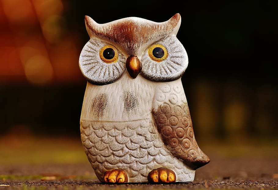 owl, bird, funny, ceramic, animal, cute, deco, figure, decoration HD wallpaper