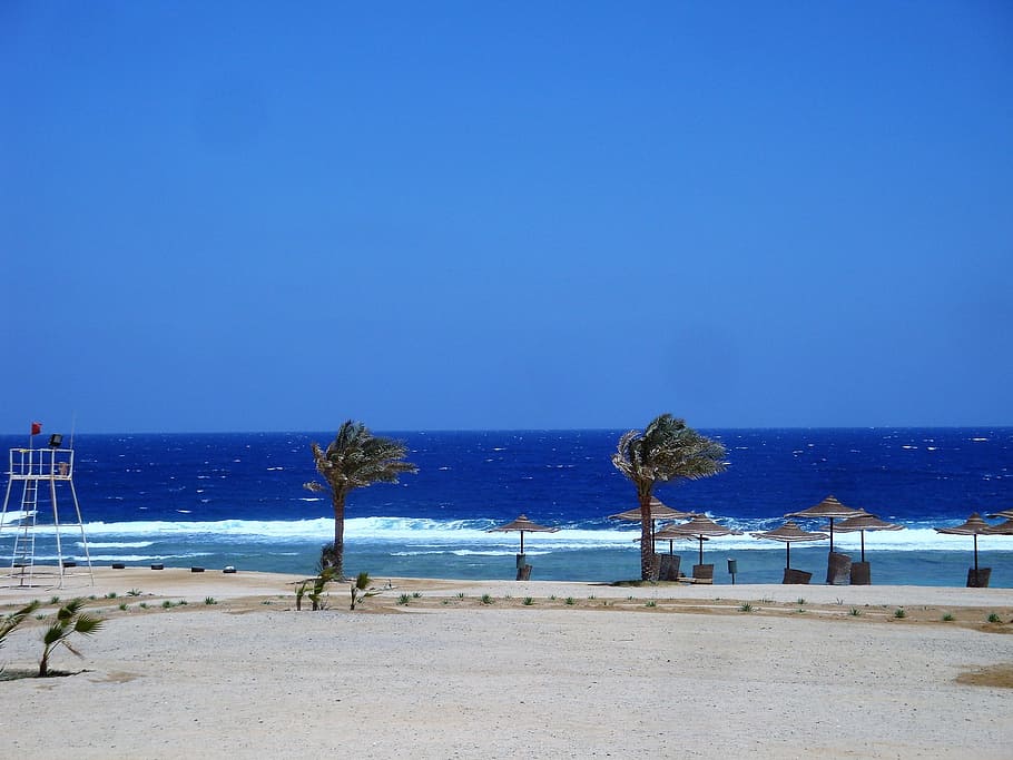 Beach, Egypt, Water, summer, blue, palm trees, holiday, sand HD wallpaper