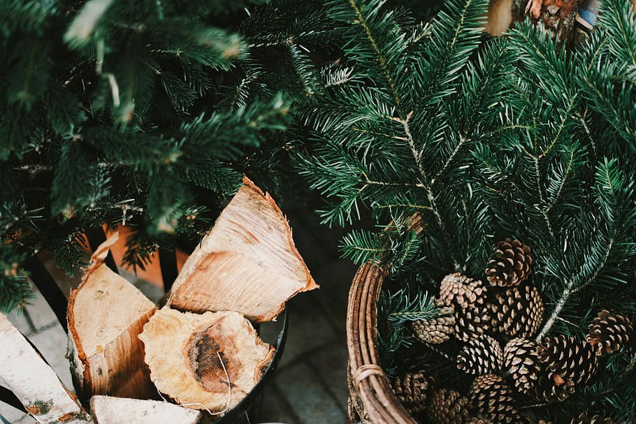 brown acorns, brown pine corn and green green leaves in basket HD wallpaper